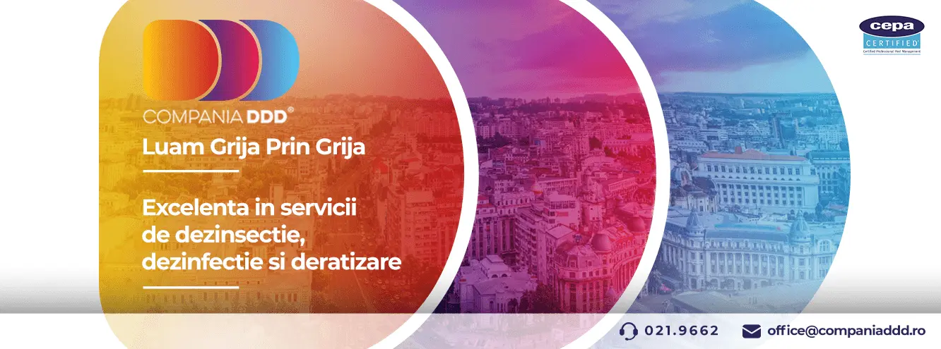 Importanta serviciilor de deratizare in prevenirea transmiterii bolilor