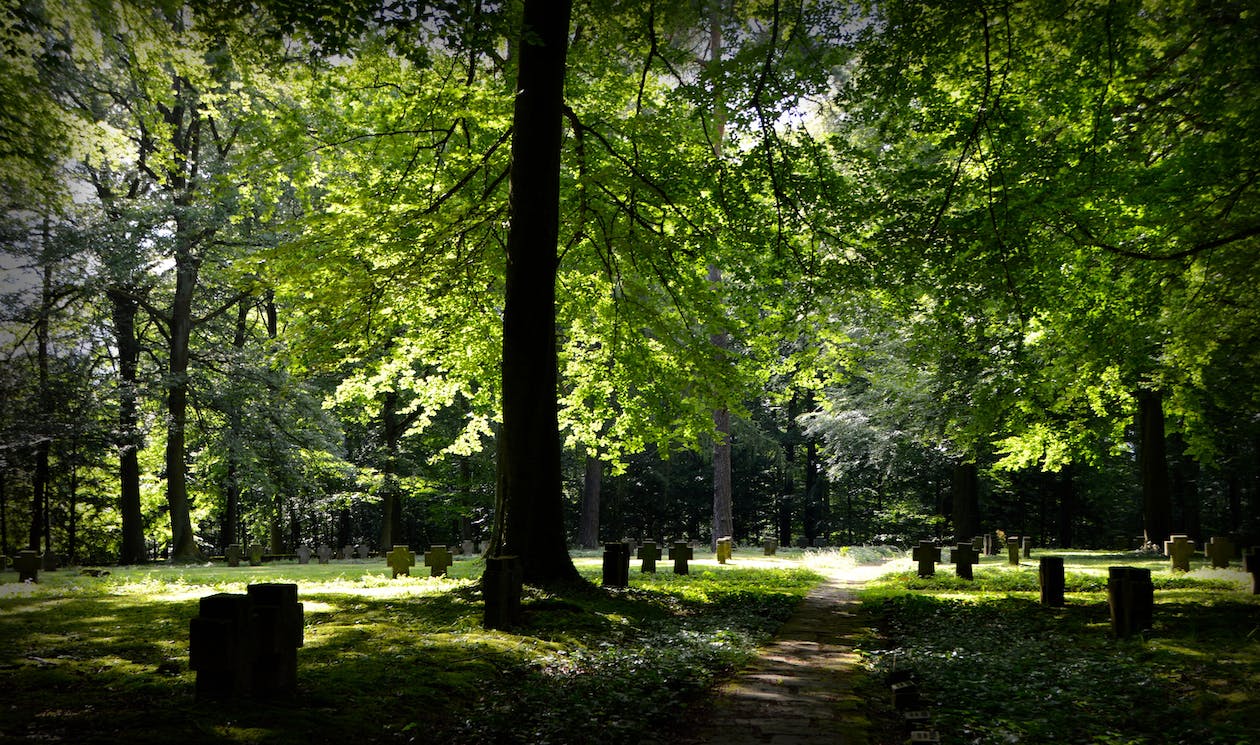 Piatra funerară ecologică: O privire asupra opțiunilor durabile în conștiința mediului