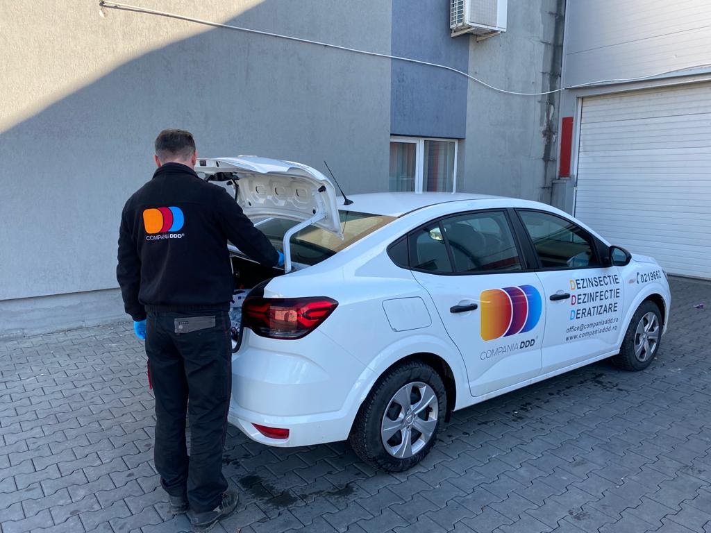 Plosnitele de Pat si Riscurile Alergiilor Respiratorii