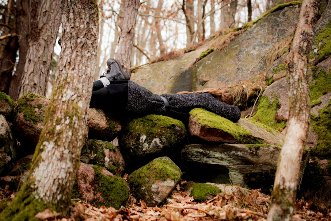 Photo Forest meditation