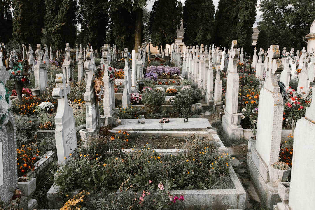 Photo Headstone options
