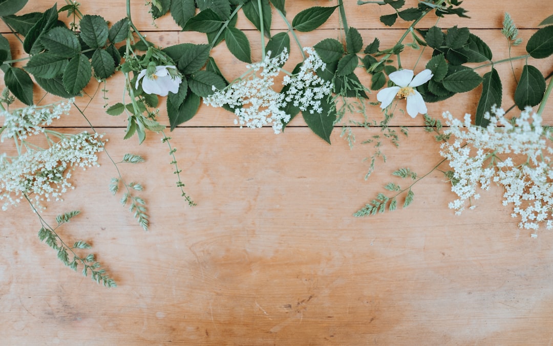 Photo Flowers