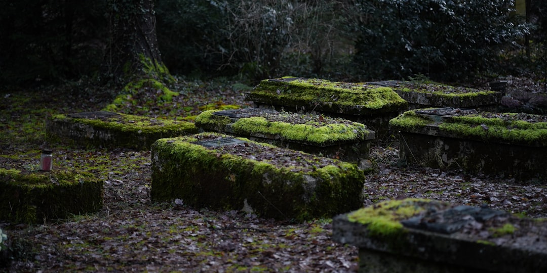 Photo Cemetery comparison