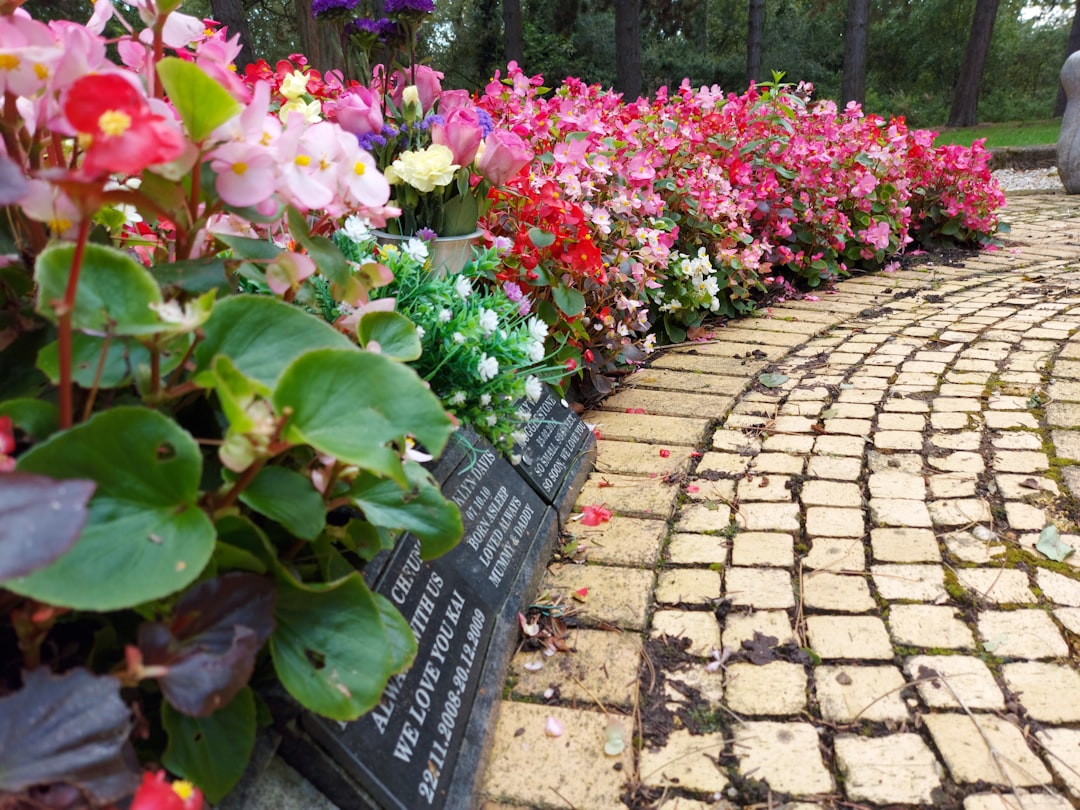 Photo Memorial garden