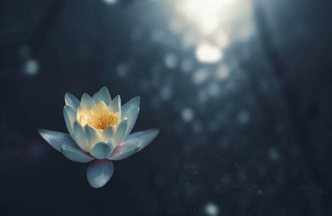 Photo Candlelight meditation