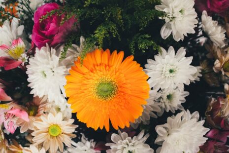 Photo "How to express your gratitude to those who help you organize a funeral service"