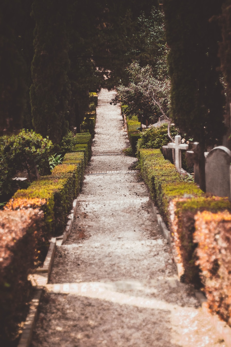 Photo "The complete guide to choosing a suitable cemetery and burial plot"