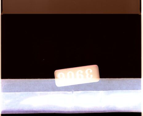 Photo pomana de 1 an