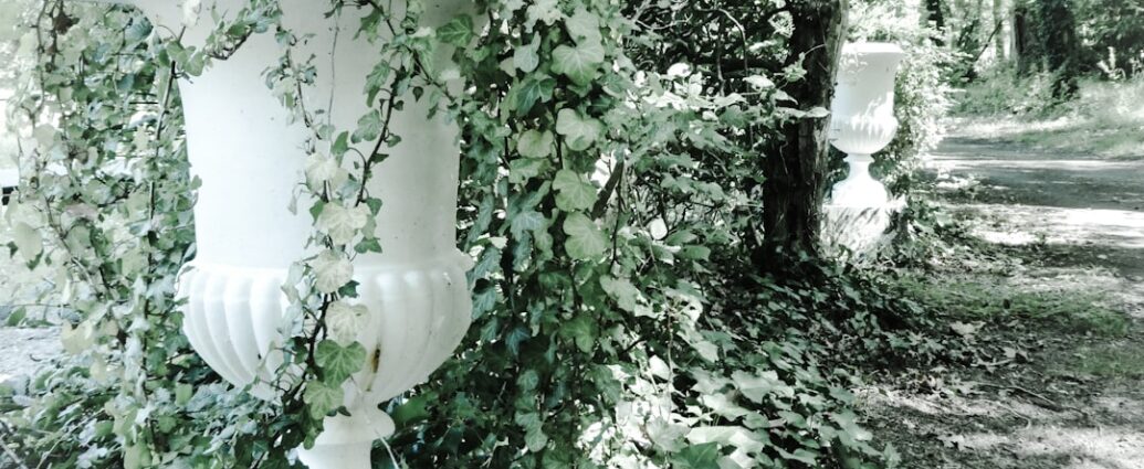 Photo funerary urns