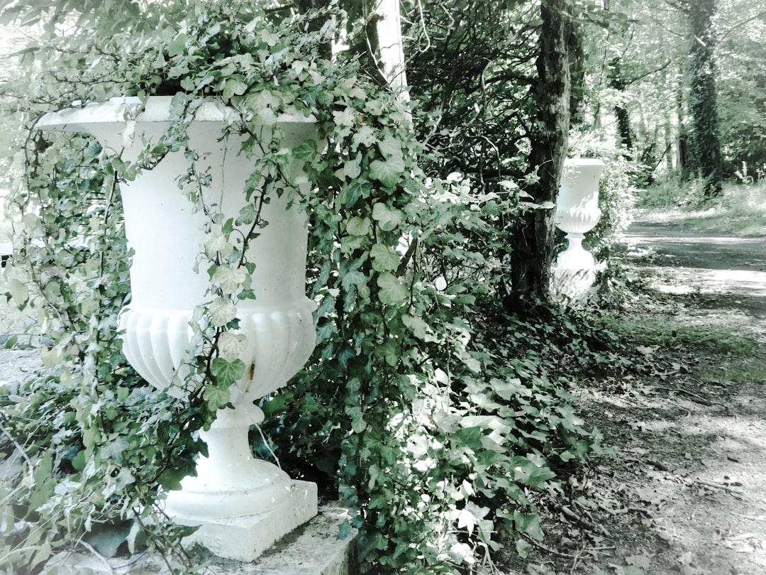 Photo funerary urns