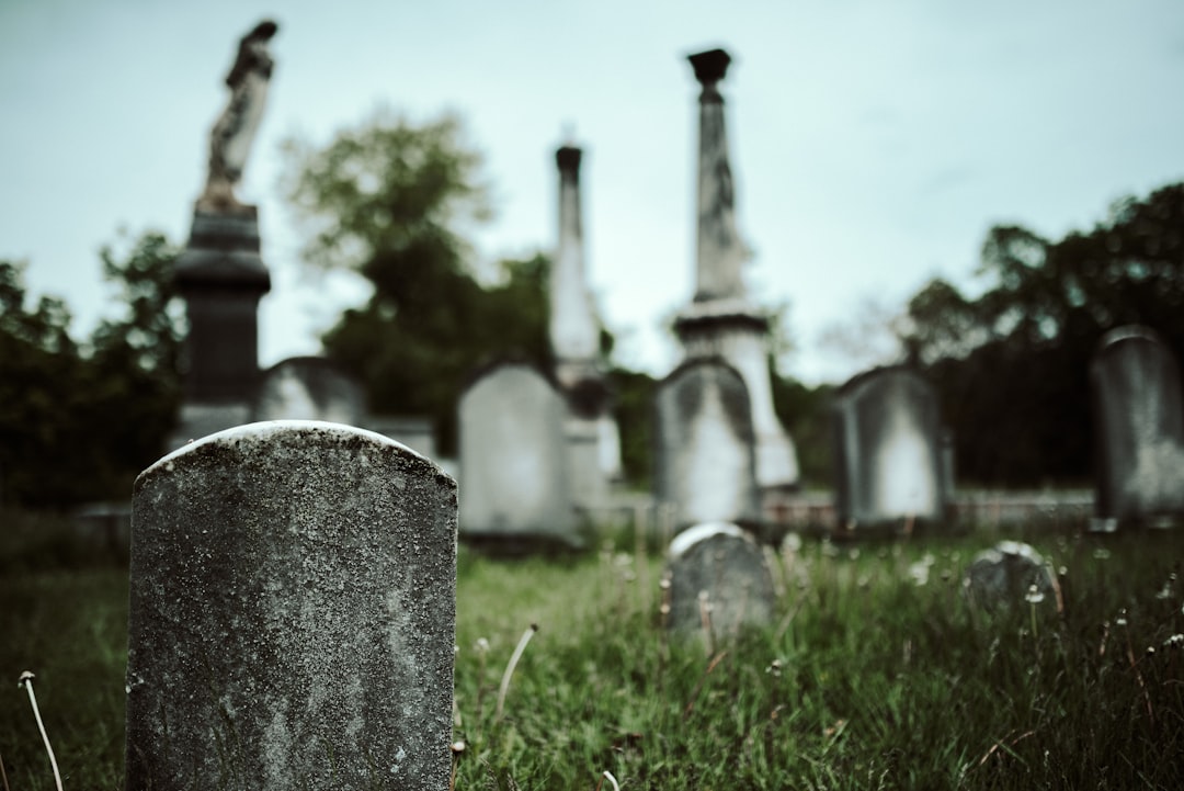 Photo cleaning and maintenance services for graves on a subscription basis
