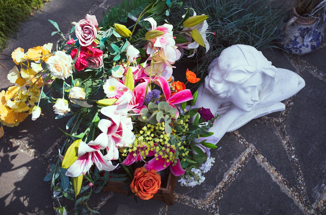 Photo pet-funeral
