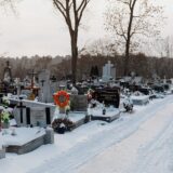 Sezonalitatea cererii de servicii funerare: ce se schimbă între iarnă și vară — Piata Funerara - marketplace de servicii funerare profesioniste!