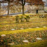 Alee umbrită într-un cimitir vechi, cu cruci de piatră acoperite de mușchi și copaci bătrâni