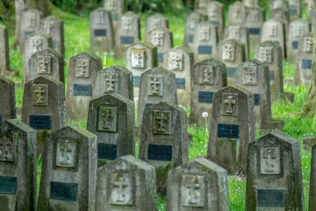 Sicriu împletit din răchită, așezat pe iarbă verde într-o pajiște liniștită, înconjurată de copaci