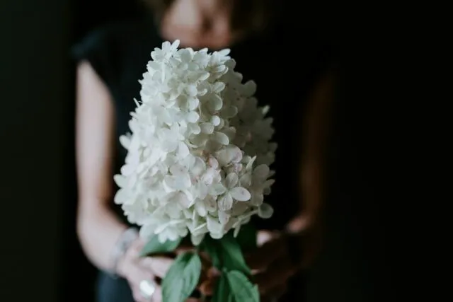 Photo offering condolences etiquette