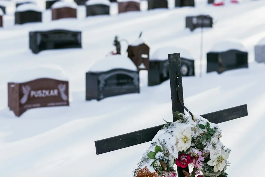 parastas memorial service organization